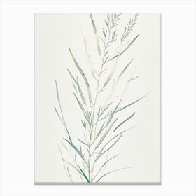 White Willow Herb Minimalist Watercolour 2 Canvas Print