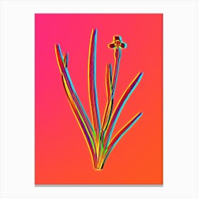 Neon Iris Martinicensis Botanical in Hot Pink and Electric Blue n.0371 Canvas Print