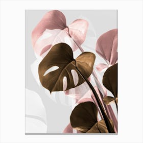 Pink And Brown Monstera_2058435 Canvas Print