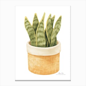 Aloe vera plant. Green plant. Beautiful plant. Thorns plant. Aloe vera flowers.23 Canvas Print