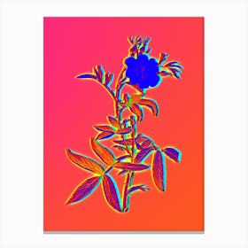 Neon White Rose of York Botanical in Hot Pink and Electric Blue 1 Canvas Print