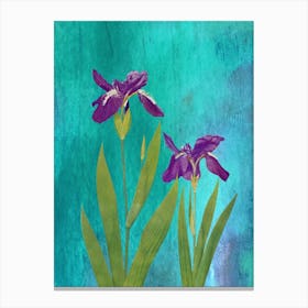 Purple Iris 1 Canvas Print