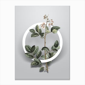 Vintage Andromeda Mariana Branch Minimalist Floral Geometric Circle on Soft Gray Canvas Print