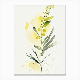 Mustard Herb Minimalist Watercolour Canvas Print