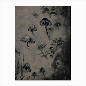 Mushrooms Canvas Print