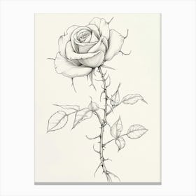 English Rose Black And White Line Drawing 31 Canvas Print