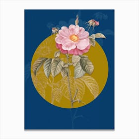 Vintage Botanical Speckled Provins Rose on Circle Yellow on Blue Canvas Print