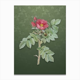 Vintage Kamtschatka Rose Botanical on Lunar Green Pattern n.1952 Canvas Print