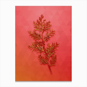 Vintage Virginian Juniper Botanical Art on Fiery Red Canvas Print