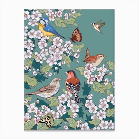 Hedgrow Birds And Hawthorn Blossom Canvas Print