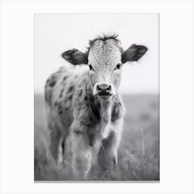 Calf In The Field Canvas Print