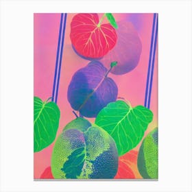 Cherimoya 1 Risograph Retro Poster Fruit Canvas Print