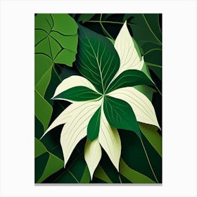 Siberian Ginseng Leaf Vibrant Inspired 1 Canvas Print