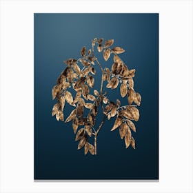 Gold Botanical Jujube on Dusk Blue Canvas Print
