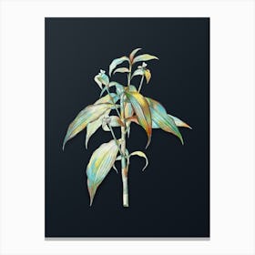 Vintage Commelina Zanonia Botanical Watercolor Illustration on Dark Teal Blue Canvas Print