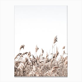 In The Reeds I Canvas Print