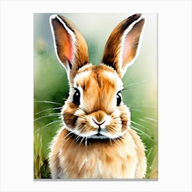 Rabbit In The Grass Watercolor Canvas Print