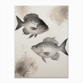 Two Fish Canvas Print