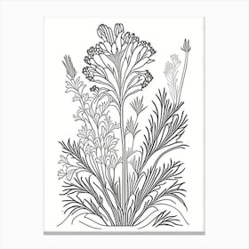 Valerian Herb William Morris Inspired Line Drawing 3 Canvas Print