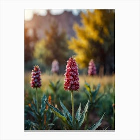 Wildflowers At Sunset Canvas Print