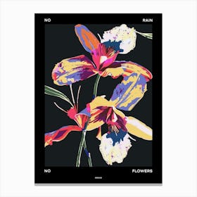 No Rain No Flowers Poster Orchid 2 Canvas Print