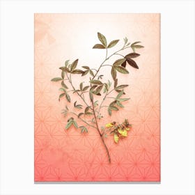 Stinking Bean Trefoil Vintage Botanical in Peach Fuzz Asanoha Star Pattern n.0215 Canvas Print