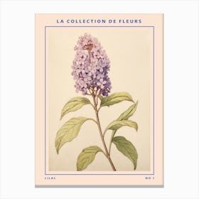 Lilac French Flower Botanical Poster Canvas Print