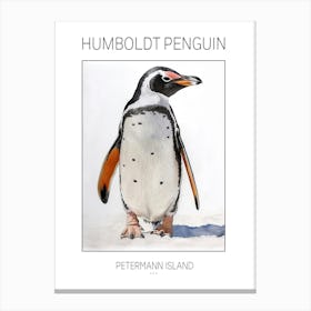 Humboldt Penguin Petermann Island Watercolour Painting 6 Poster Canvas Print
