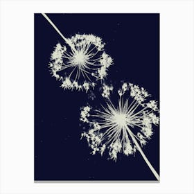 Blue Allium cyanotype Canvas Print