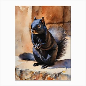 Calabrian Black Squirrel 1 Canvas Print