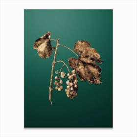 Gold Botanical Friulli Grape on Dark Spring Green n.0823 Canvas Print