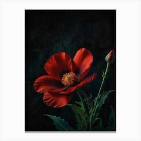 Red Poppy Flower Canvas Print