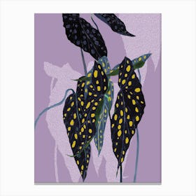 Begonia Maculata On Lilac Canvas Print