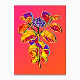 Neon Common Dogwood Botanical in Hot Pink and Electric Blue n.0004 Canvas Print