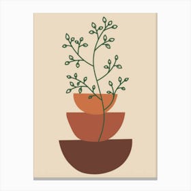 Plant In A Pot Canvas Print