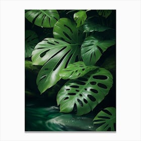 Tropical Jungle Abundant With Monstera Leaves And Flowing Rivers Canvas Print
