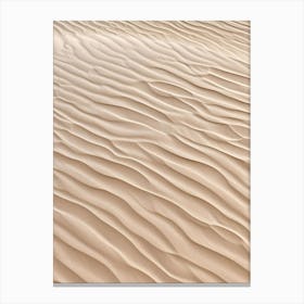 Sand Dunes 7 Canvas Print