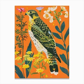 Spring Birds Falcon 1 Canvas Print