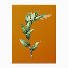 Vintage Treacleberry Botanical on Sunset Orange n.0704 Canvas Print