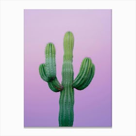 Cactus On A Purple Background Canvas Print