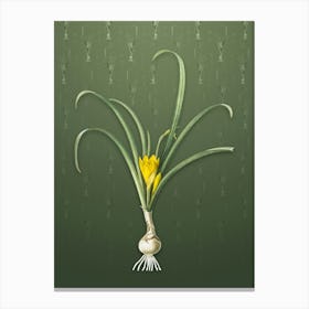 Vintage Yellow Autumn Crocus Botanical on Lunar Green Pattern n.1688 Canvas Print