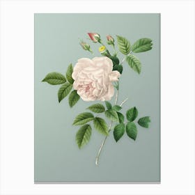 Vintage Rosa Indica Botanical Art on Mint Green Canvas Print