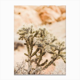 Rattail Cactus Canvas Print