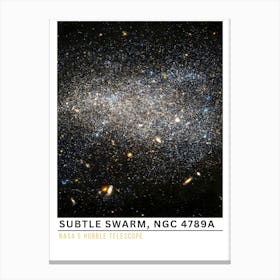 Squiggle Swarm Canvas Print