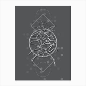 Vintage Narrow Leaved Spider Flower Botanical with Line Motif and Dot Pattern in Ghost Gray n.0234 Canvas Print
