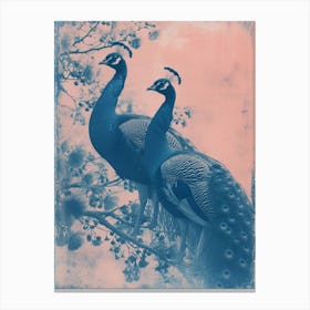 Two Peacocks On A Tree Pink Cyanotype Inspired Canvas Print