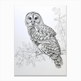 Barred Owl Marker Drawing 1 Canvas Print