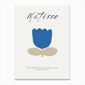 Natisse Canvas Print