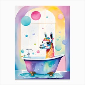 Llama In The Bath Canvas Print