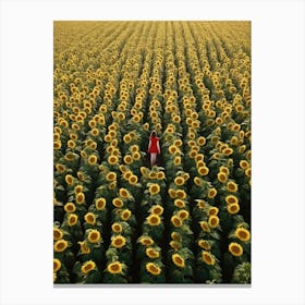 Sunflowers 73 Canvas Print